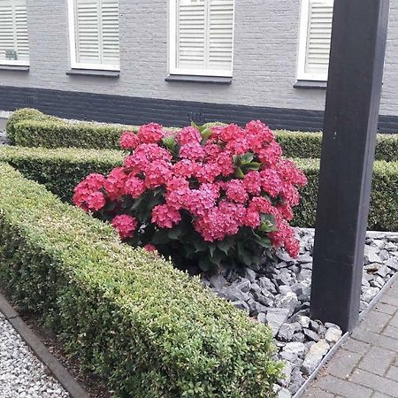 Sfeervolle 2 persoons studio in Bakkeveen Esterno foto